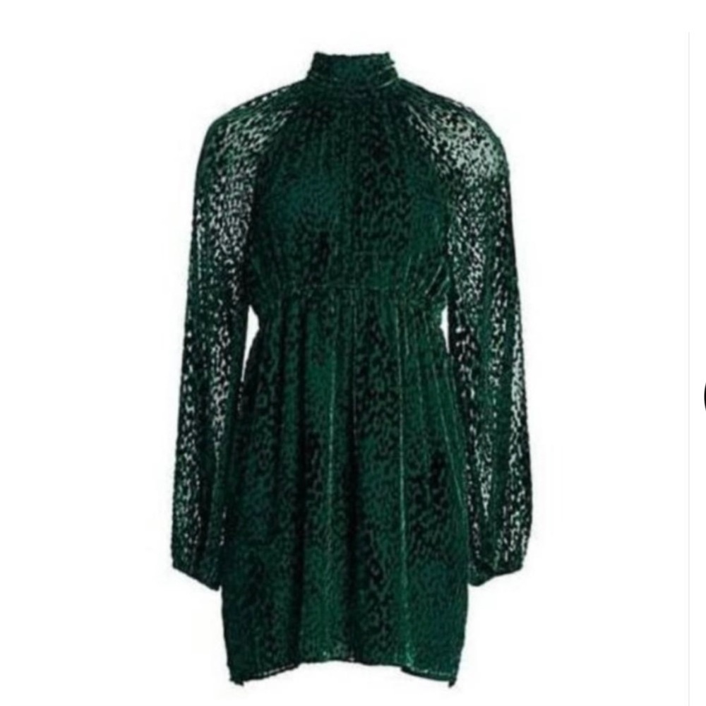 A.L.C Nadia Velvet Burnout Mockneck Dress